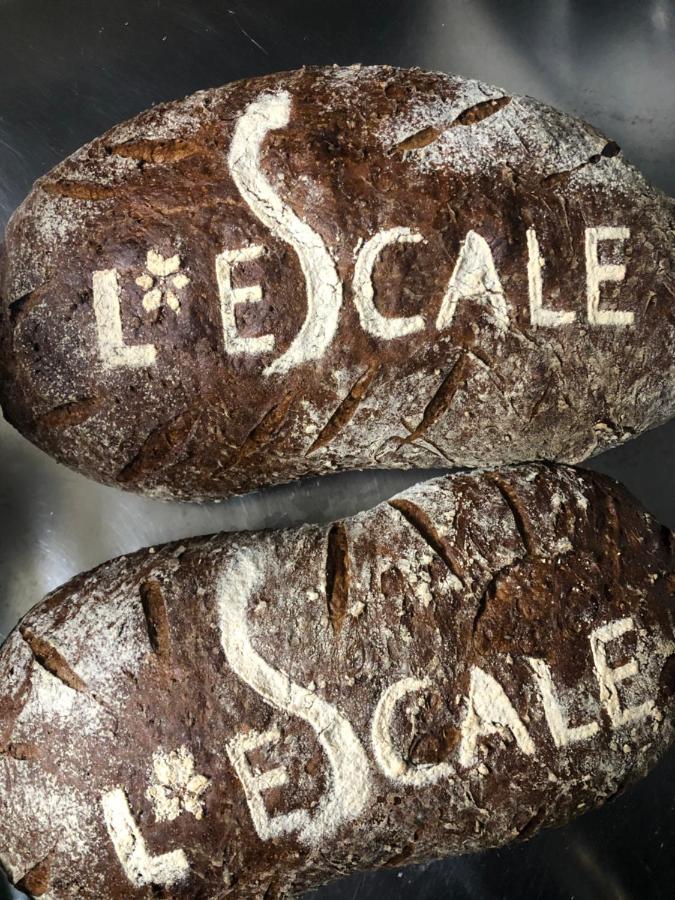 מלון Châtel L'Escale מראה חיצוני תמונה